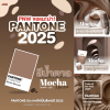 มาแล้ว!!! สี Pantone แห่งปี 2025 Mocha Mousse ☕️ มาแล้ว!!! สี Pantone แห่งปี 2025 Mocha Mousse ☕️