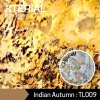 STONE VENEER : Indian Autumn