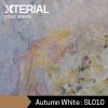 STONE VENEER : Autumn White
