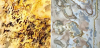 STONE VENEER : Indian Autumn