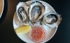 &quot;Oysters&quot; The Gems of the Sea