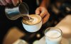Barista Milk 