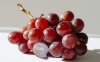 Seedless grapes 