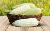 Pure White Hokkaido Corn (ข้าวโพดฮอกไกโด)