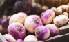 Rutabaga