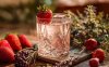 Barrister Gin (แบร์ริสเตอร์จิน) 