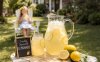 Freshly Squeezed Lemonade Freshly Squeezed Lemonade