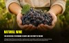 Natural Wine