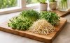 Sprouts Power Sprouts Power