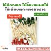 ไม้ค็อกเทล ต้นสนคละสี