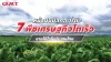 แนะนำ 7 พืชปลูกหน้าฝน