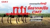 เกษตรกรยุคใหม่ต้องรู้! ใช้ซี่คราดสปริงกำจัดวัชพืช เพิ่มออกซิเจนให้ดินในไร่อ้อย เกษตรกรยุคใหม่ต้องรู้! ใช้ซี่คราดสปริงกำจัดวัชพืช เพิ่มออกซิเจนให้ดินในไร่อ้อย