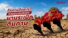 การแก้ไขดินดาน