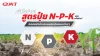 What do the N-P-K numbers on fertilizer formulas tell us? Decoding the numbers on fertilizer bags is easy. What do the N-P-K numbers on fertilizer formulas tell us? Decoding the numbers on fertilizer bags is easy.