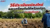 การเตรียมดินแปลงใหม่