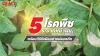 7-crops-for-rainy-season
