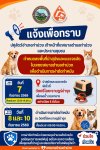 ลงพื้นที่นำสุนัขและแมวจรจัดในเขตเทศบาลตำบลท่าม่วง เข้ารับการผ่าตัดทำหมันเพื่อควบคุมประชากรสัตว์และจัดระเบียบชุมชน ลงพื้นที่นำสุนัขและแมวจรจัดในเขตเทศบาลตำบลท่าม่วง เข้ารับการผ่าตัดทำหมันเพื่อควบคุมประชากรสัตว์และจัดระเบียบชุมชน