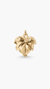 CHARM