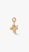 CHARM
