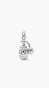 CHARM
