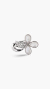 CLASP