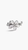 CLASP