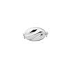 CLASP