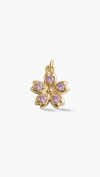 SV PENDANT&CHARM
