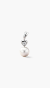 PENDANTS & CHARMS