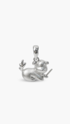 PENDANTS & CHARMS