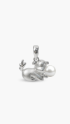 PENDANTS & CHARMS