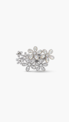 CLASP