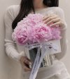 Peony in Love