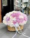 100 Peony