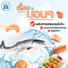 ปลาแซลมอน แซลม่อน Salmon ขายปลีก ขายส่ง Bigfridgeboy