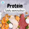 โปรตีน ลดความอ้วน ลดน้ำหนัก ประโยชน์โปรตีน Protein Bigfridgeboy