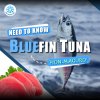 ปลาทูน่า มากุโร่ มากุโระ Bluefin Tuna Hon Maguro ขายปลีก ขายส่ง Bigfridgeboy