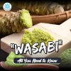 วาซาบิ Wasabi วัตถุดิบอาหาร ขายปลีก ขายส่ง Bigfridgeboy