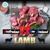 แกะออสเตรเลีย แกะนิวซีแลนด์ Lamb Australia Newzealand วัตถุดิบ ขายปลีก ขายส่ง Bigfridgeboy
