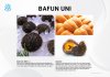 หอยเม่น ไข่หอยเม่น อูนิ Sea Urchin Uni วัตถุดิบอาหาร ขายปลีก ขายส่ง Bigfridgeboy