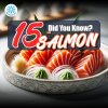 แซลมอน ปลาแซลมอน Salmon วัตถุดิบอาหาร ขายปลีก ขายส่ง Bigfridgeboy