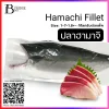 ปลาฮามาจิเกรดซาชิมิ Hamachi Fillet (Sashimi Grade)