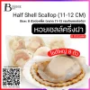 หอยเชลล์ฮอกไกโดครึ่งฝา 11-12 เซนติเมตร (Half Shell Scallop (11-12 CM)) Spec: 8 pc./pack