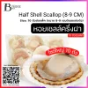 หอยเชลล์ฮอกไกโดครึ่งฝา 8-9 เซนติเมตร (Half Shell Scallop (8-9 CM)) Spec: 10 pc./pack