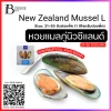 หอยแมลภู่นิวซีแลนด์ ไซส์ L (New Zealand Mussel L) Spec: 1 kg./pack (12 pack/carton)