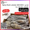 กุ้งมังกรทั้งตัวดิบ 400-500 กรัมต่อตัว (Spiny Rock Lobster 400-500 G/PC) Spec: 10+- kg.