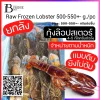 Lobster 500-550 G/PC (10 ตัวต่อลัง) Spec: 5+- kg.