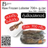 กุ้งล๊อบสเตอร์ทั้งตัวดิบ 700-750 กรัมต่อตัว (Lobster 700-750 G/PC) Spec: 1 pc./pack