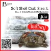 Soft Shell Crab Size: L Spec: 1 kg./pack (10 pack/carton)