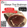 ริบอาย ไทยบราห์มัน (Thai Brahman Ribeye) Spec: 3-7+- kg./pc.